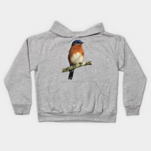 Eastern Bluebird Kids Hoodie